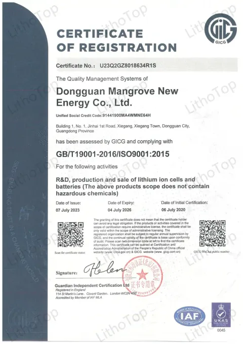 ISO9001 certification document for Lizo Power e-bike batteries